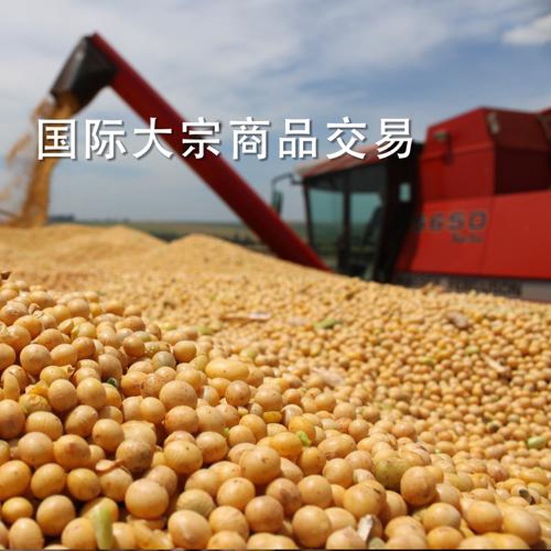 贾汪区百货批发市场选购指南